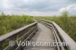 Volkscom-Everglades13